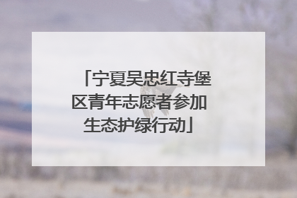 宁夏吴忠红寺堡区青年志愿者参加生态护绿行动