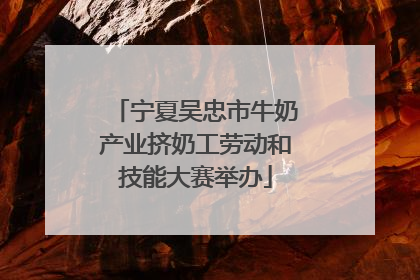 宁夏吴忠市牛奶产业挤奶工劳动和技能大赛举办
