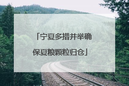 宁夏多措并举确保夏粮颗粒归仓