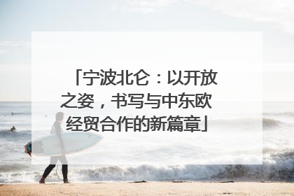 宁波北仑：以开放之姿，书写与中东欧经贸合作的新篇章