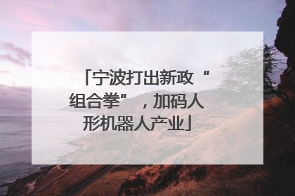 宁波打出新政“组合拳”，加码人形机器人产业