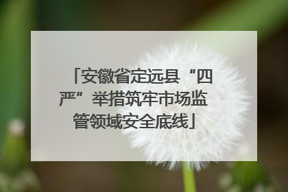 安徽省定远县“四严”举措筑牢市场监管领域安全底线