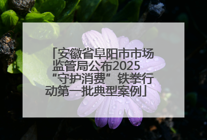 安徽省阜阳市市场监管局公布2025“守护消费”铁拳行动第一批典型案例