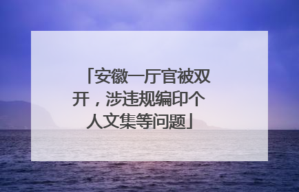 安徽一厅官被双开，涉违规编印个人文集等问题