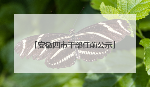 安徽四市干部任前公示
