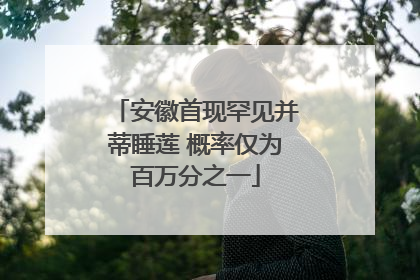 安徽首现罕见并蒂睡莲 概率仅为百万分之一