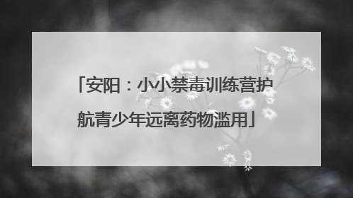 安阳：小小禁毒训练营护航青少年远离药物滥用