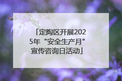 定陶区开展2025年“安全生产月”宣传咨询日活动