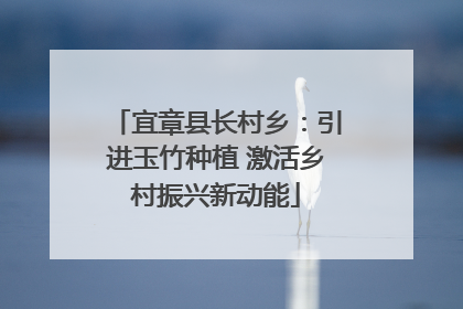 宜章县长村乡：引进玉竹种植 激活乡村振兴新动能