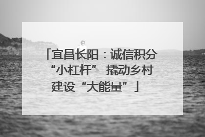 宜昌长阳：诚信积分“小杠杆” 撬动乡村建设“大能量”