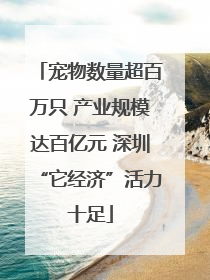 宠物数量超百万只 产业规模达百亿元 深圳“它经济”活力十足