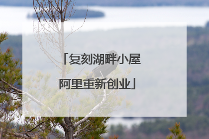 复刻湖畔小屋 阿里重新创业