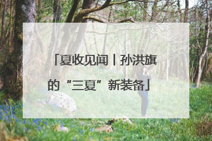 夏收见闻丨孙洪旗的“三夏”新装备