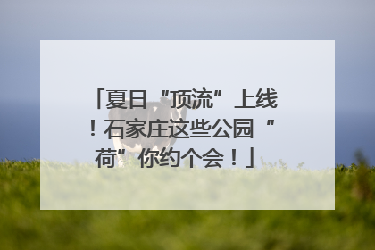 夏日“顶流”上线！石家庄这些公园“荷”你约个会！