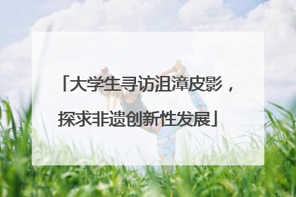 大学生寻访沮漳皮影，探求非遗创新性发展