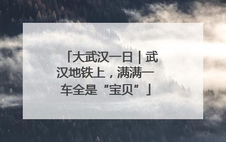 大武汉一日｜武汉地铁上，满满一车全是“宝贝”