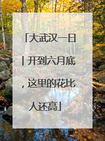大武汉一日︱开到六月底，这里的花比人还高