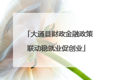 大通县财政金融政策联动稳就业促创业