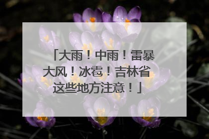 大雨！中雨！雷暴大风！冰雹！吉林省这些地方注意！
