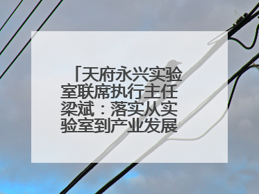 天府永兴实验室联席执行主任梁斌：落实从实验室到产业发展的最后一公里