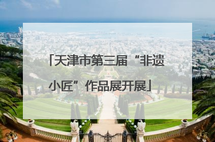 天津市第三届“非遗小匠”作品展开展
