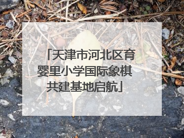 天津市河北区育婴里小学国际象棋共建基地启航
