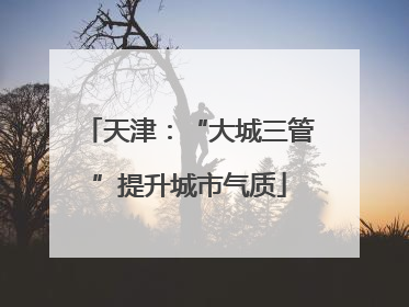 天津：“大城三管”提升城市气质