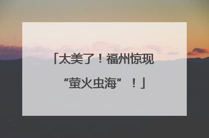 太美了！福州惊现“萤火虫海”！
