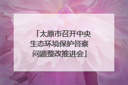 太原市召开中央生态环境保护督察问题整改推进会