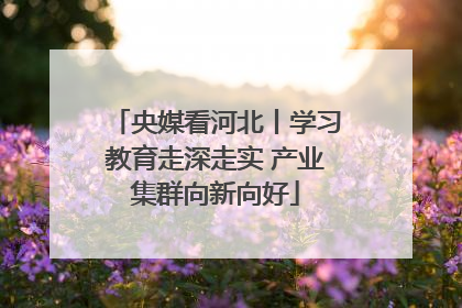 央媒看河北丨学习教育走深走实 产业集群向新向好