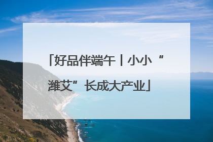 好品伴端午丨小小“潍艾”长成大产业