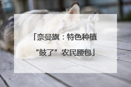 奈曼旗：特色种植“鼓了”农民腰包