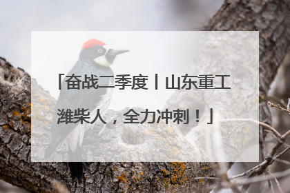 奋战二季度丨山东重工潍柴人，全力冲刺！