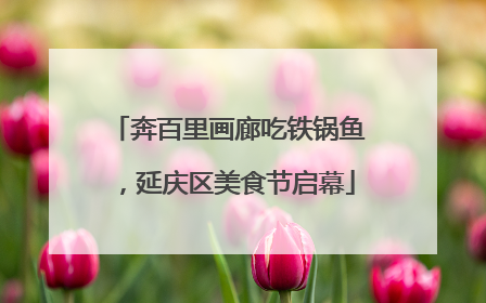 奔百里画廊吃铁锅鱼，延庆区美食节启幕