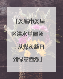娄底市娄星区洪水单屋场：从煤灰蔽日到绿意盎然