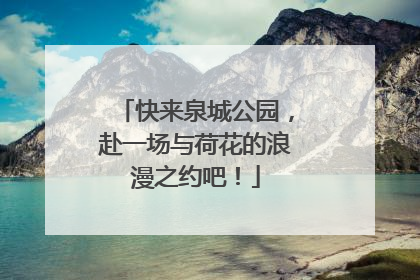 快来泉城公园，赴一场与荷花的浪漫之约吧！
