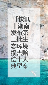 快讯丨湖南发布第三批生态环境损害赔偿十大典型案例