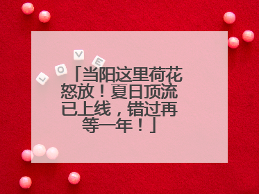 当阳这里荷花怒放！夏日顶流已上线，错过再等一年！