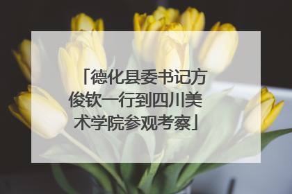 德化县委书记方俊钦一行到四川美术学院参观考察