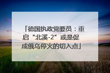 德国执政党要员：重启“北溪-2”或是促成俄乌停火的切入点