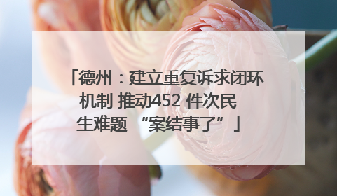 德州：建立重复诉求闭环机制 推动452 件次民生难题 “案结事了”