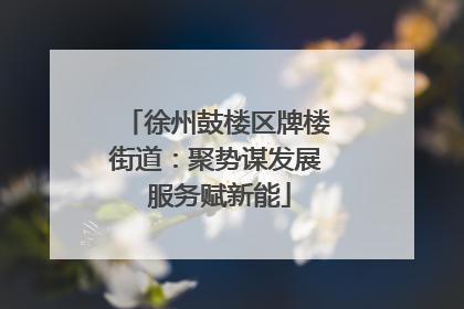徐州鼓楼区牌楼街道：聚势谋发展 服务赋新能