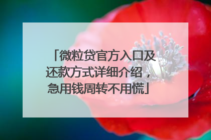 微粒贷官方入口及还款方式详细介绍，急用钱周转不用慌