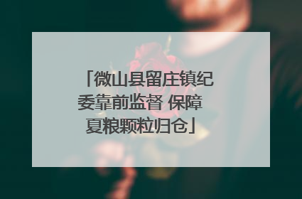 微山县留庄镇纪委靠前监督 保障夏粮颗粒归仓