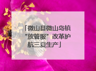微山县微山岛镇“放管服”改革护航三夏生产