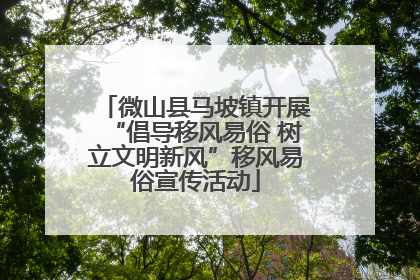 微山县马坡镇开展“倡导移风易俗 树立文明新风”移风易俗宣传活动