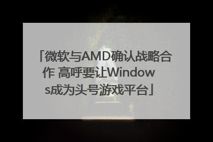 微软与AMD确认战略合作 高呼要让Windows成为头号游戏平台
