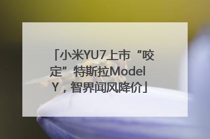 小米YU7上市“咬定”特斯拉Model Y，智界闻风降价