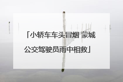 小轿车车头冒烟 蒙城公交驾驶员雨中相救