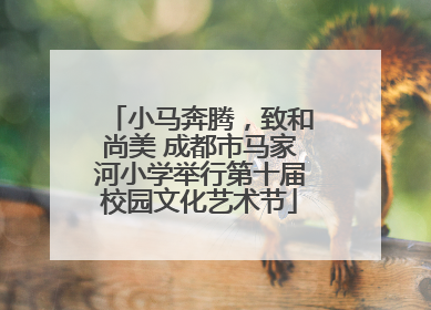 小马奔腾，致和尚美 成都市马家河小学举行第十届校园文化艺术节